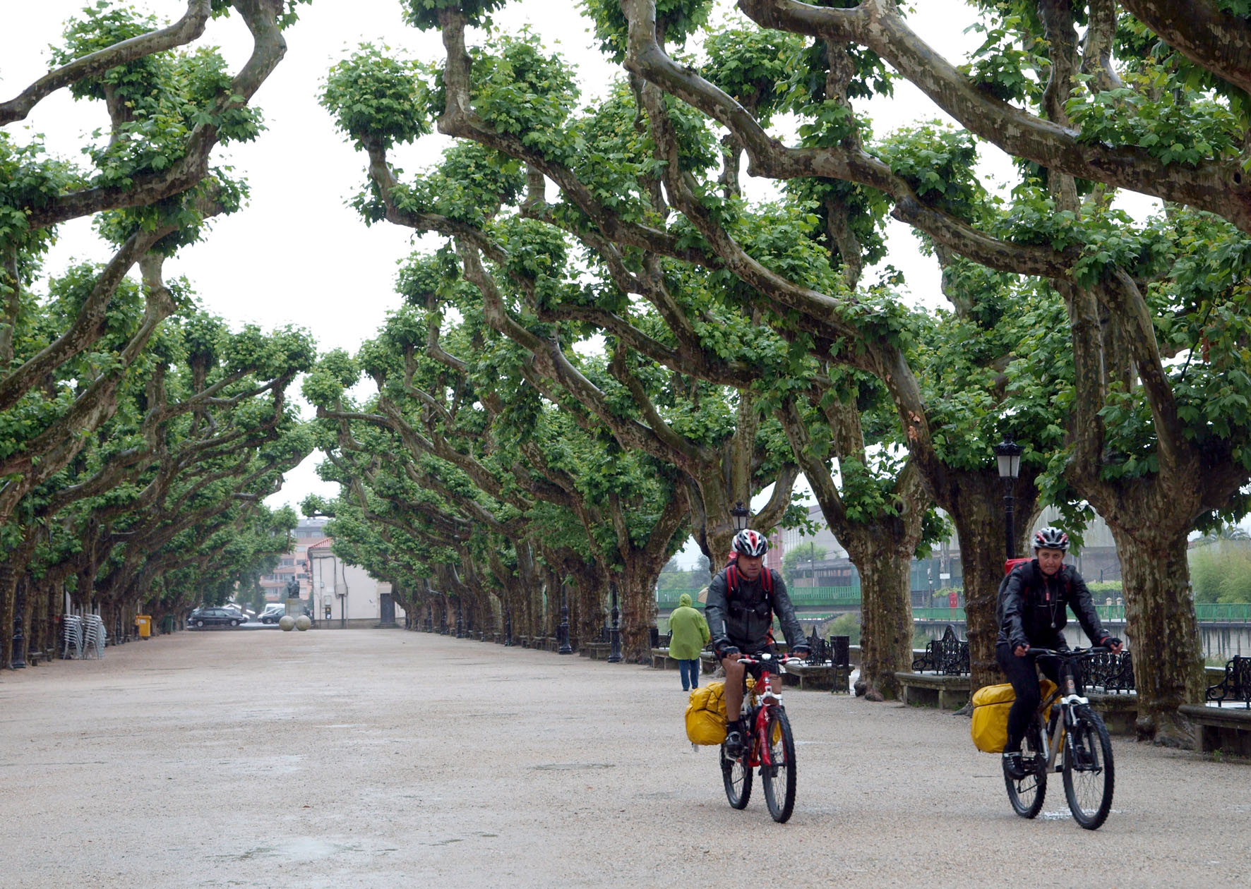 Dos peregrinos cruzan en bicicleta el céntrico paseo del Espolón / Fotografía de Merce Ares