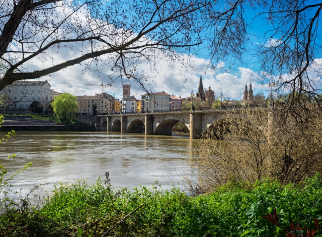 El río Ebro y el paisaje urbano de Logroño - Helena GH/iStock
