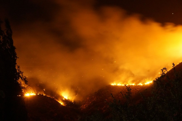 Forest fire, image from Wikimedia Commons
