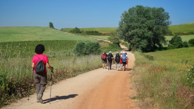 Grupo de peregrinos recorriendo el Camino De Santiago - Envato