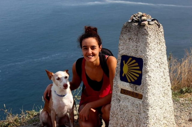 Hacer el Camino de Santiago con perro: todo lo que debes saber