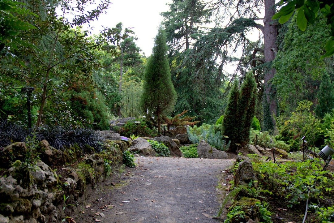 Jardín Botánico Atlántico - Wikimedia commons/manuel.m.v