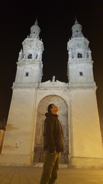 Santa María de la Redonda, Logroño