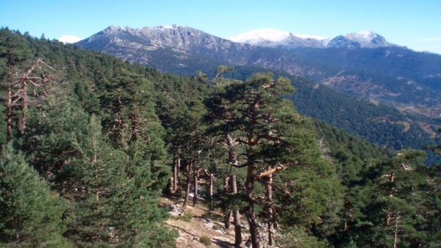 Sierra de Guadarrama