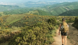 Puntos de partida del Camino de Santiago: ¿Dónde comenzar tu viaje?