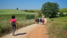 Doing the Camino de Santiago in June: What you should know?