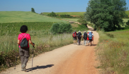 Doing the Camino de Santiago in May: What should you know?