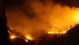 Que debes facer se atopas un incendio forestal no Camiño de Santiago?